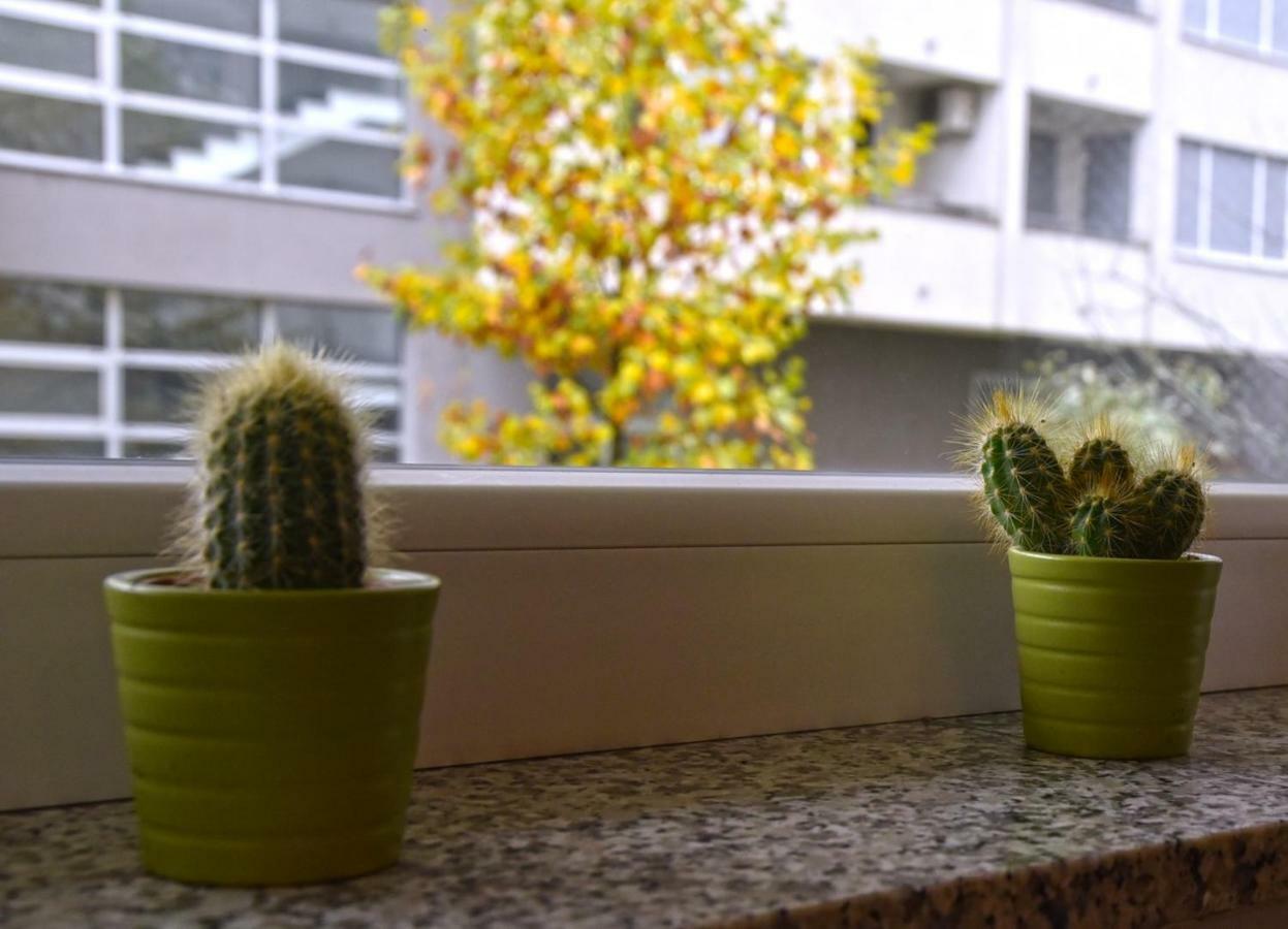 Apartments Dora Ζάγκρεμπ Εξωτερικό φωτογραφία